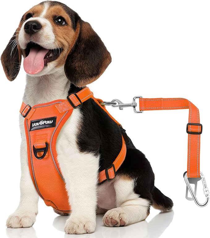 Dog Seat Belt Harness for Car, Dog Car Harness Adjustable Mesh Breathable & Dogs Seatbelt Safety Tether with Elastic Bungee for Small Medium Large Pets(Orange, M)