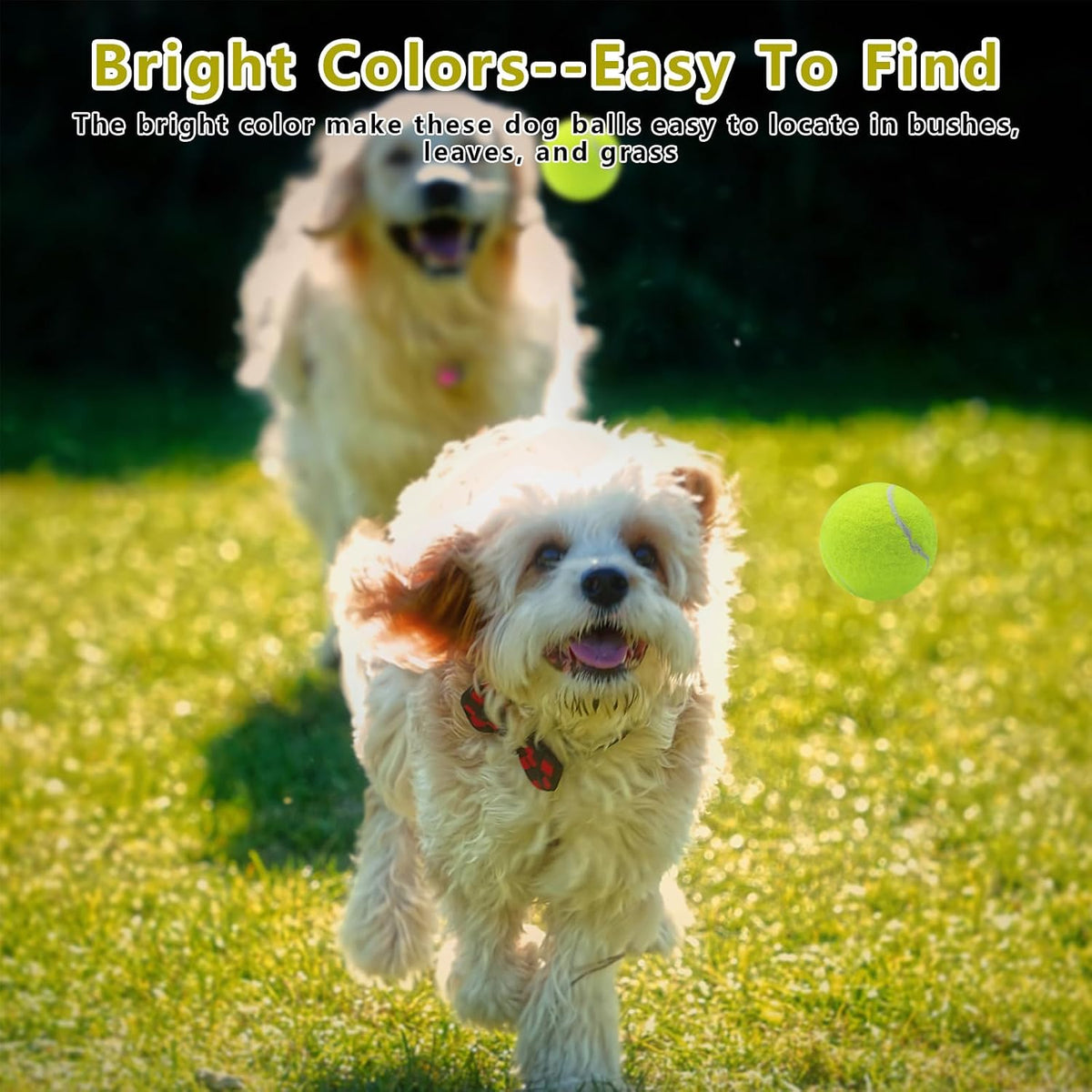 Magicorange Small Tennis Balls - Multicolor / 6 Pack - image 4