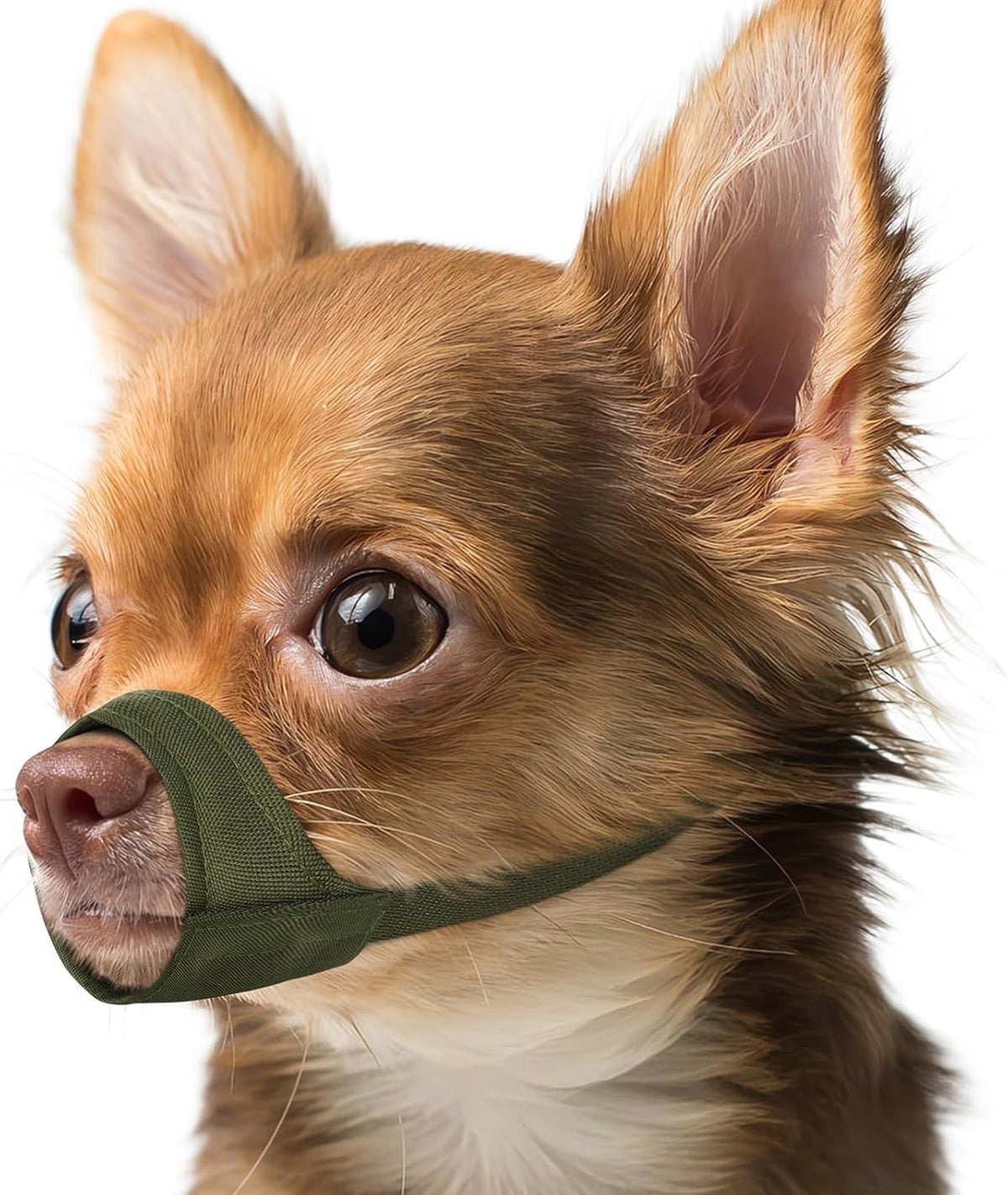 Fabric Dog Muzzle for Short Snout Small Dogs Chihuahuas Anti-Bite – Essentials for Dogs - Green / XS [Snout Cir: 5.5-6.25"]