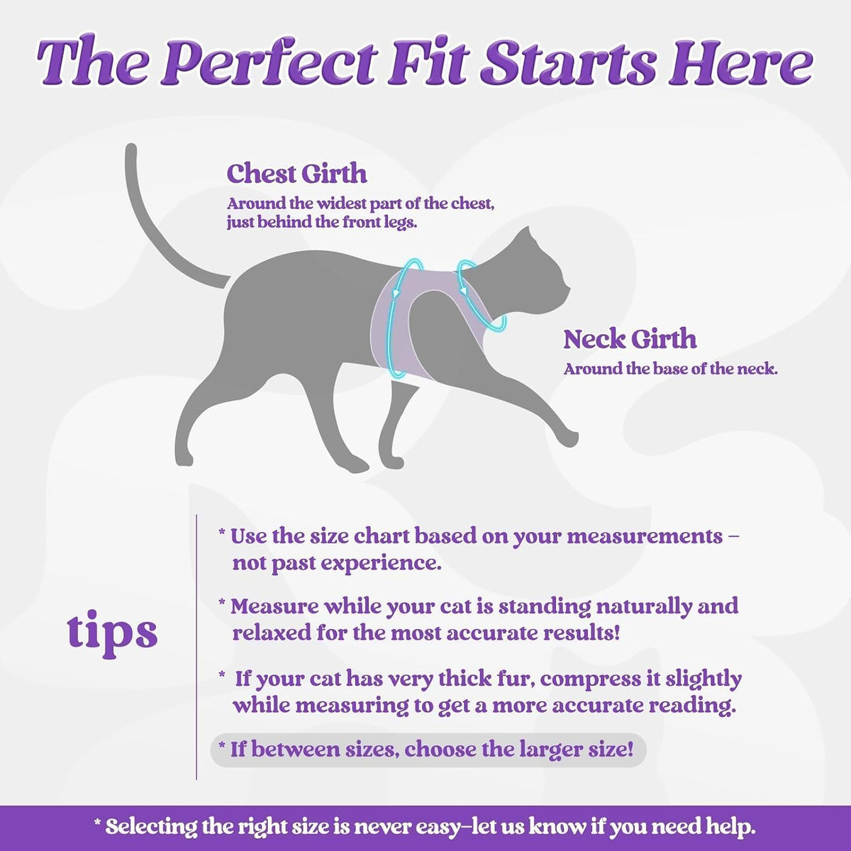 rabbitgoo Cat Harness and Leash Set, Step-in Soft Vest - S / Purple - image 2