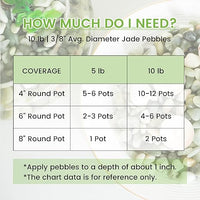 SIDONG 10 LB Jade Pebbles, 2/5 Inch Natural Decorative Polished Jade Stones, Jade River Rocks for Succulents, Cactus, Vases, Indoor Plants, Garden Landscaping, Bamboo