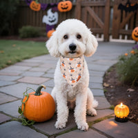 ADOGGYGO Pink Halloween Dog Bandanas Girl - Small / Halloween-2 - image 2