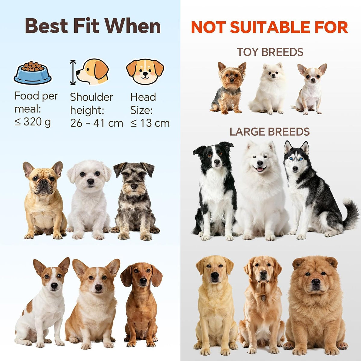 Small Glass Tilted Elevated Cat Dog Bowl Raised Cat Food Water Bowl - Large / White-Flat - image 3