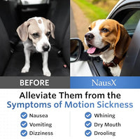 Anti-Motion Sickness and Nausea Relief for Medium Breed Dogs, Relief for Disorientation and Dizziness, 20 Tablets