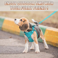 Dog Harness Step in Dog Vest Harness, Reflective Adjustable Puppy No Pull Harness Breathable Soft for Small and Medium Dogs Cats, Ocean Blue, S