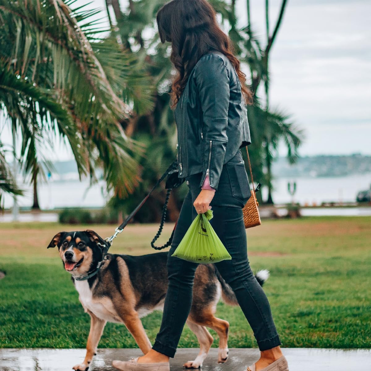 Certified Home Compostable Dog Poop Bags, 270 Plant Based Bags – Essentials for Dogs - Forest Green / 270 Count (Pack of 1) - image 3