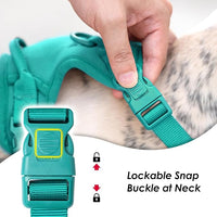 No Pull Dog Harness, Puppy Vest with Front Clip for Small Medium Large Sized Dog(MARRS Green,M)