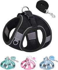 Solmoony Dog Harness, No Pull, Mesh for Small Medium Dogs - Black / S