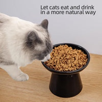 Ceramic Elevated Cat Food Bowls, 6.2" Wide - Black / 2 Pack - image 4