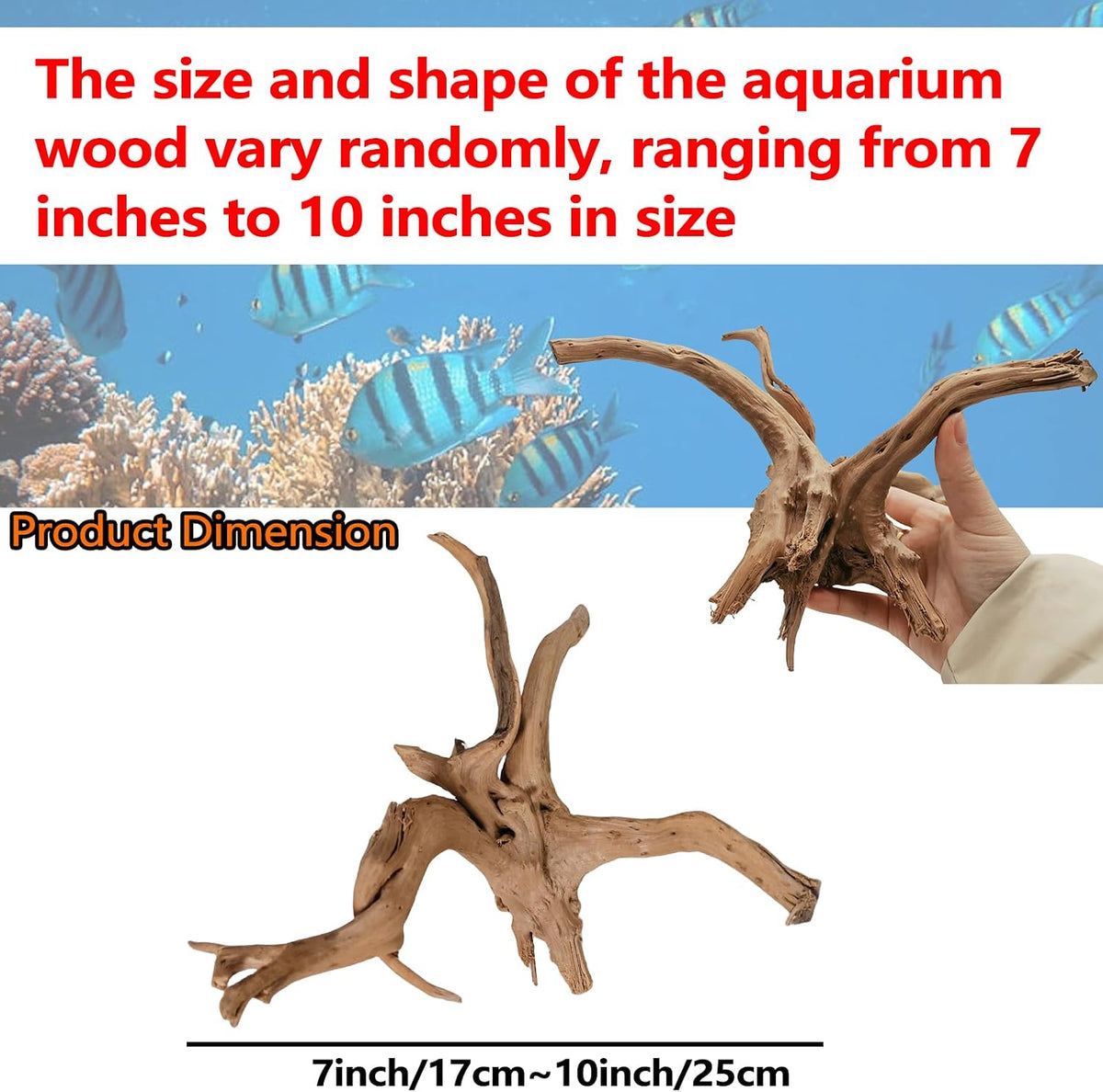 5PCS Driftwood for Aquarium 7-9in Natural Reptile Spider Wood - Large:spiderwood 7-10in 2PCS - image 2