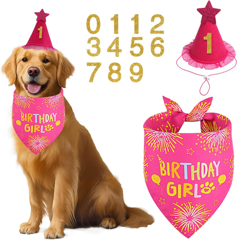 Rose Pink Girl Dog Birthday Party Supplies with Hat Bandana Numbers – Essentials for Dogs - rose pink-set / Small