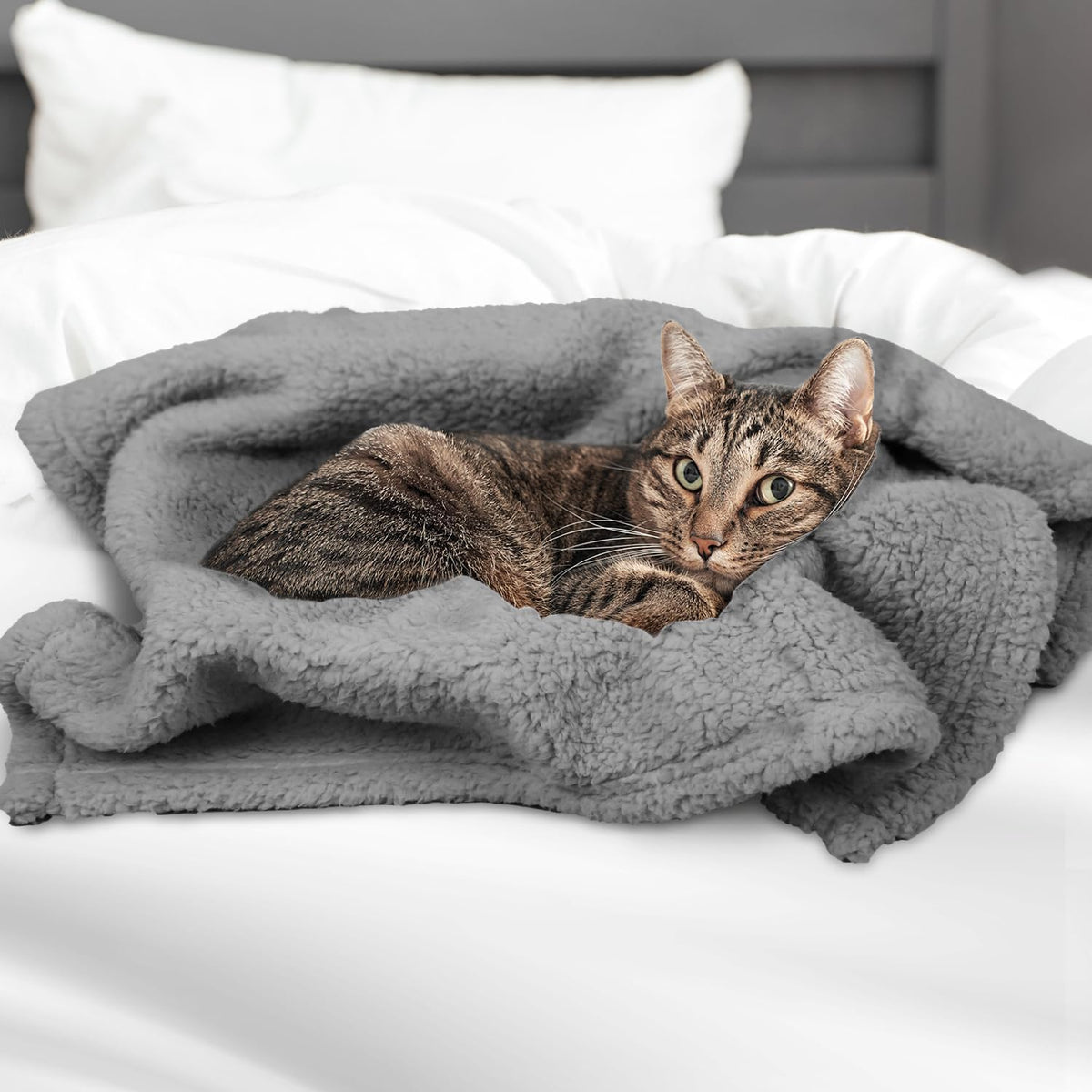 Pet Blanket, Soft Warm Sherpa Fleece Bed Blanket for Small Pets – Essentials for Cats - Grey Blanket / 24x32in (pack of 1) - image 4