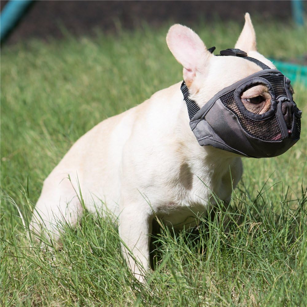 Short Snout Dog Muzzle - Adjustable Breathable Mesh Bulldog Muzzle for Biting Chewing Barking - Grey / Medium/11"-17" - image 2