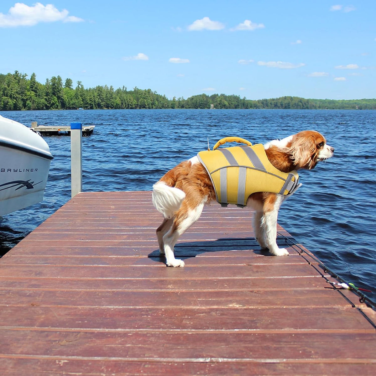 Kuoser Reflective Dog Life Jacket - XL (Chest Girth:25.9-33.4'') / 2#Yellow - image 4