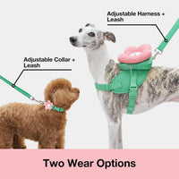 VETRESKA Flora Dog Harness, Leash and Collar Set - L - image 3