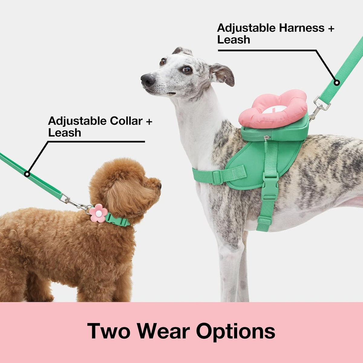 VETRESKA Flora Dog Harness, Leash and Collar Set - L - image 3