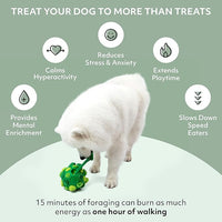 Reggie Forager Ball for Dogs | Mealtime Enrichment Toy | Reduces Boredom, Hyperactivity, Stress | Vet-Approved & Ideal for All Ages, Breeds, and Sizes (Forager Ball - Turkey & Pumpkin)