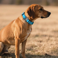 AirTag Dog Collar - Leather Dog Collar with Airtag Holder | IP68 Waterproof AirTag Holder with Metal Buckle, Comfortable GPS Dog Collars Tracker for Medium Large Dogs (Blue, M)