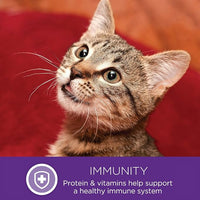 Wellness Healthy Indulgence Gravy Adult Wet Cat Food, Natural, Protein-Rich, Grain Free, 3 Ounce Pouch, 24 Pack, (Tuna & Mackerel)