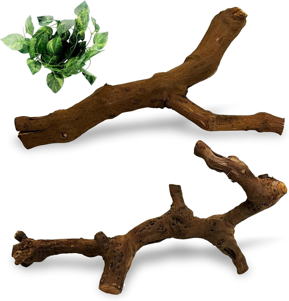 VCEPJH Snake Climbing Branch - Grape Wood (S:11.8"-2pcs) / 2