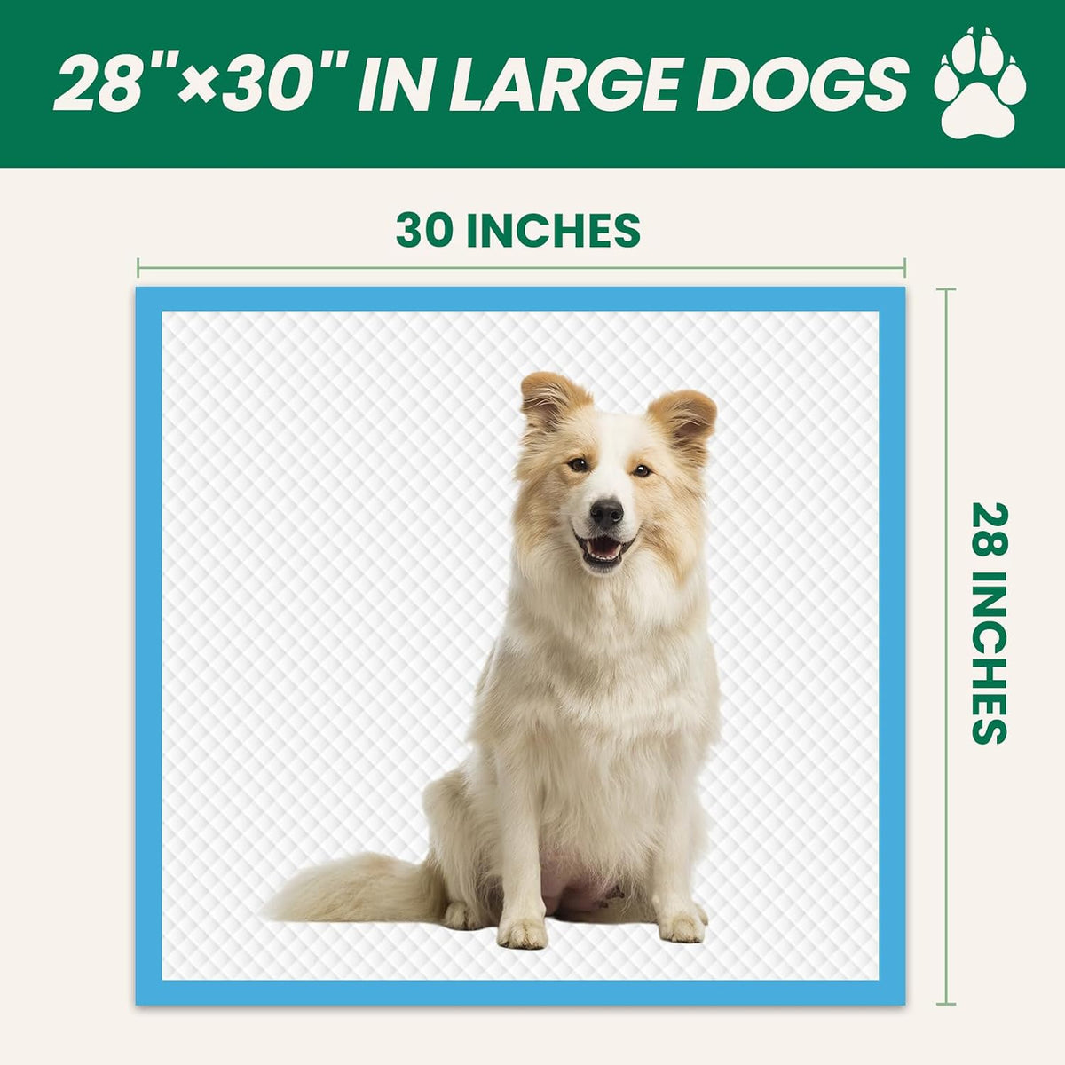 100 Count Large Dog & Cat Puppy Pee Pads - 30" x 28" (100 Count) - image 3