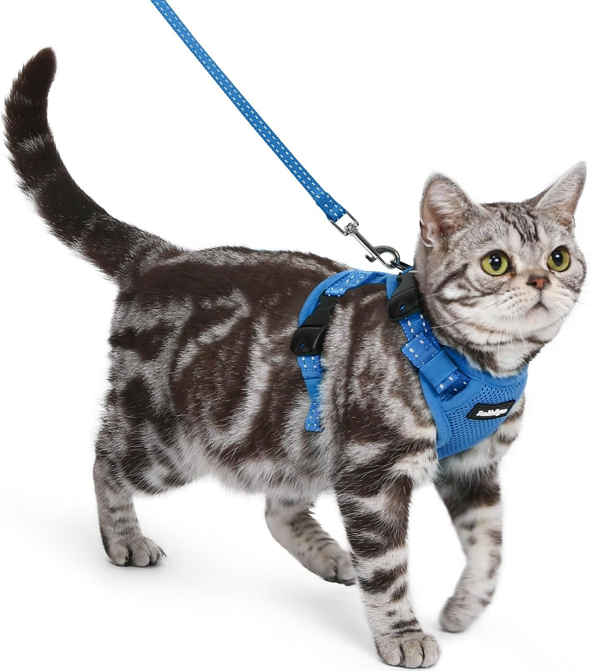 rabbitgoo Cat Harness and Leash, Easy-on with Neck Buckle - Royal Blue / S