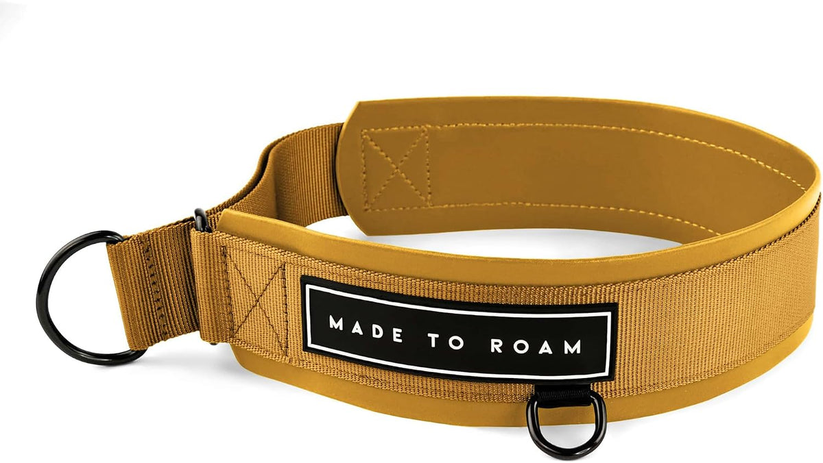 MADE TO ROAM Premium Everyday Dog Collar - Michigan Autumn / Size 2