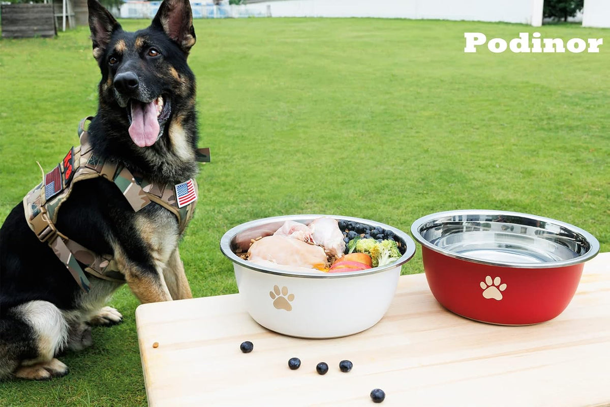 Large Dog Water Bowl 2 Pack, Aqua - White - 2 Pack / 1.3 Gallons - XL (100lb + breed) - image 3