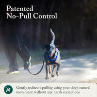 Sporn No Pull Dog Harness - Medium / Blue - image 4