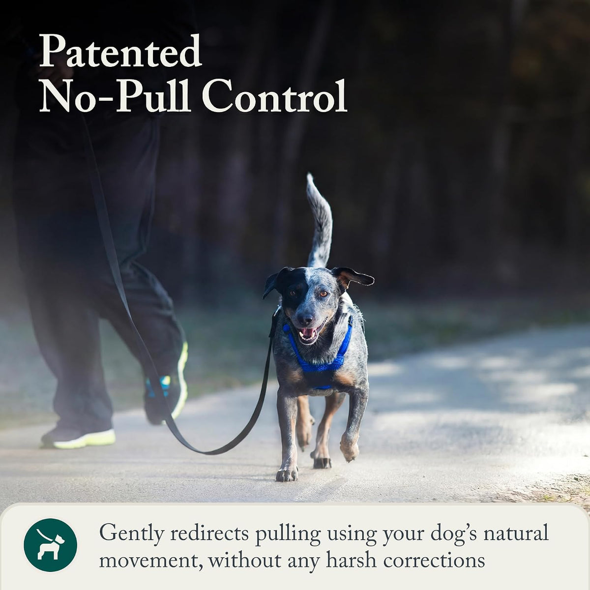 Sporn No Pull Dog Harness - Medium / Blue - image 4