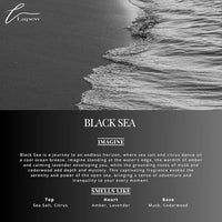 Black Sea Carpet Freshener Powder Refill 36 oz | Powerful Odor Eliminator for Home | Upholstery Deodorizer | Carpet Deodorizer | Pet Urine | Cat Litter Box