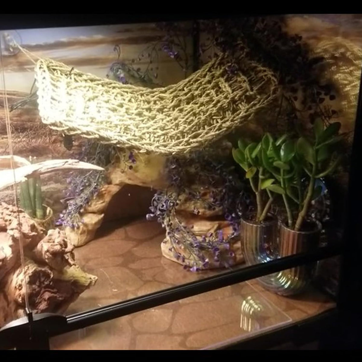 Reptile Hammock, Large Lizard Lounger - 【▲+■+▄+Purple】 - image 3