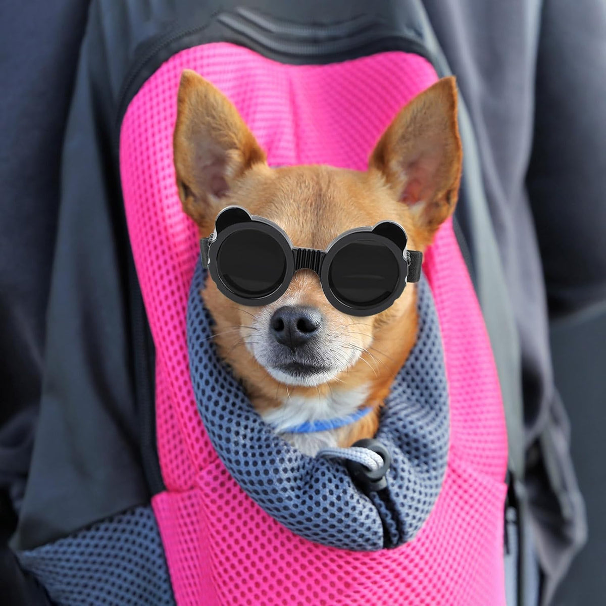 Enjoying Clear Dog Goggles Medium to Large Breed - Panda Black / X-Small Breeds - image 2
