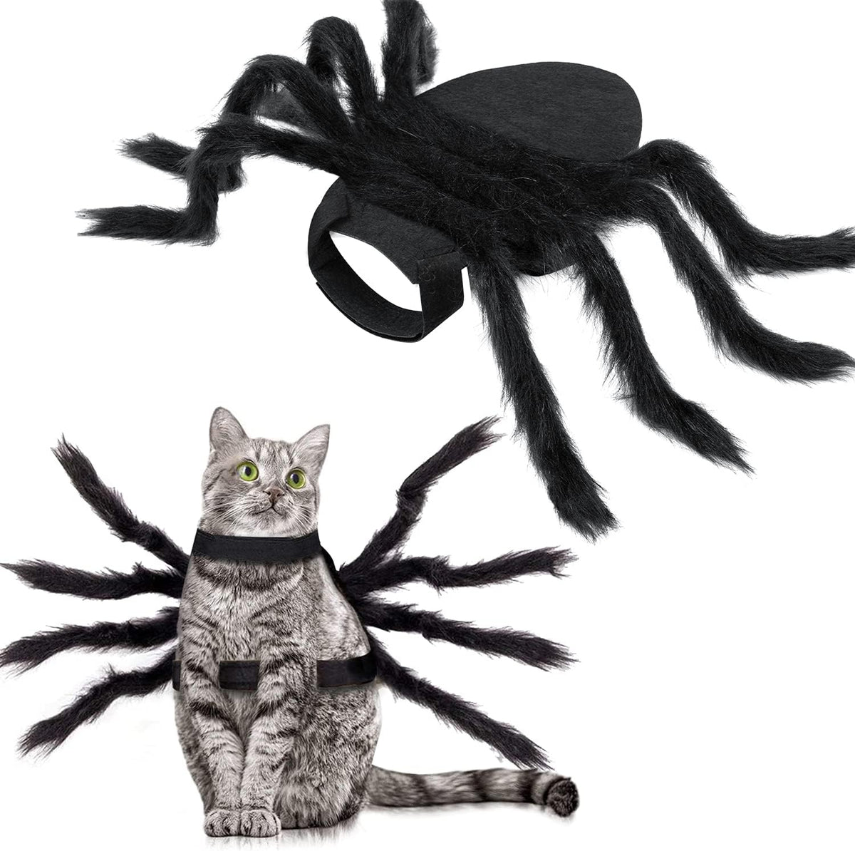 Halloween Spider Costume for Dog Cat - Medium