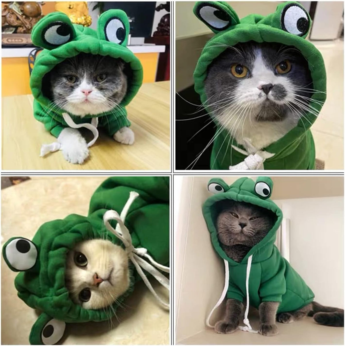 Dog Hoodie Basic Sweater Coat Cute - Green Frog / L - image 3