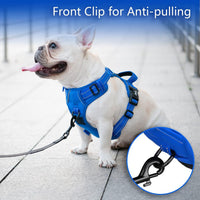 PoyPet No Pull Dog Harness Medium with Front Clip & Neck Release - XL / Royal Blue - image 2
