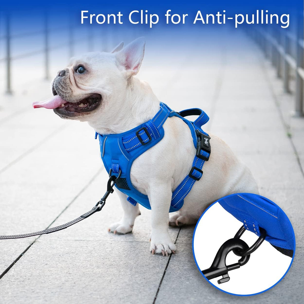 PoyPet No Pull Dog Harness Medium with Front Clip & Neck Release - XL / Royal Blue - image 2