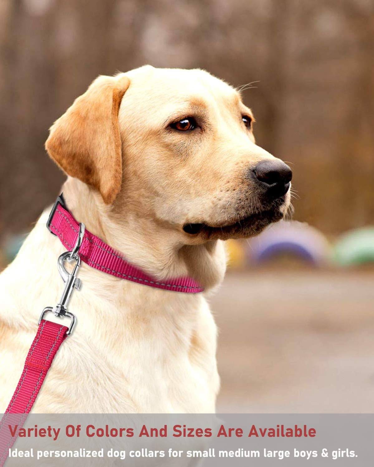 Reflective Dog Collar, Puppy Collar with Buckle Adjustable - Hotpink / Small :Width 5/8",Neck 10-14" - image 3