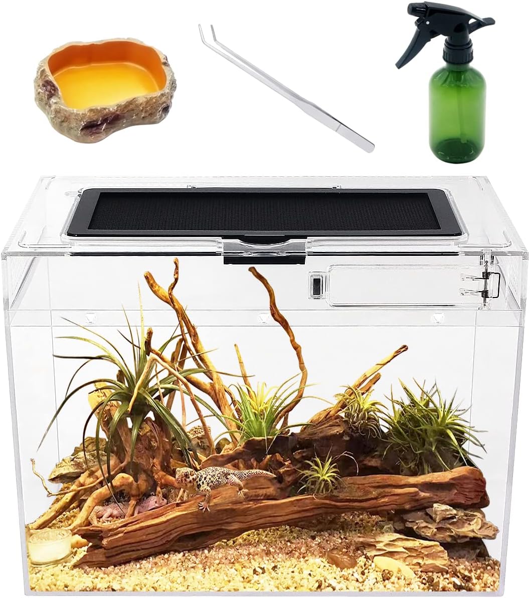 Reptile Growth Mini Reptile Terrarium - Clear / 12" x 7"x 9"