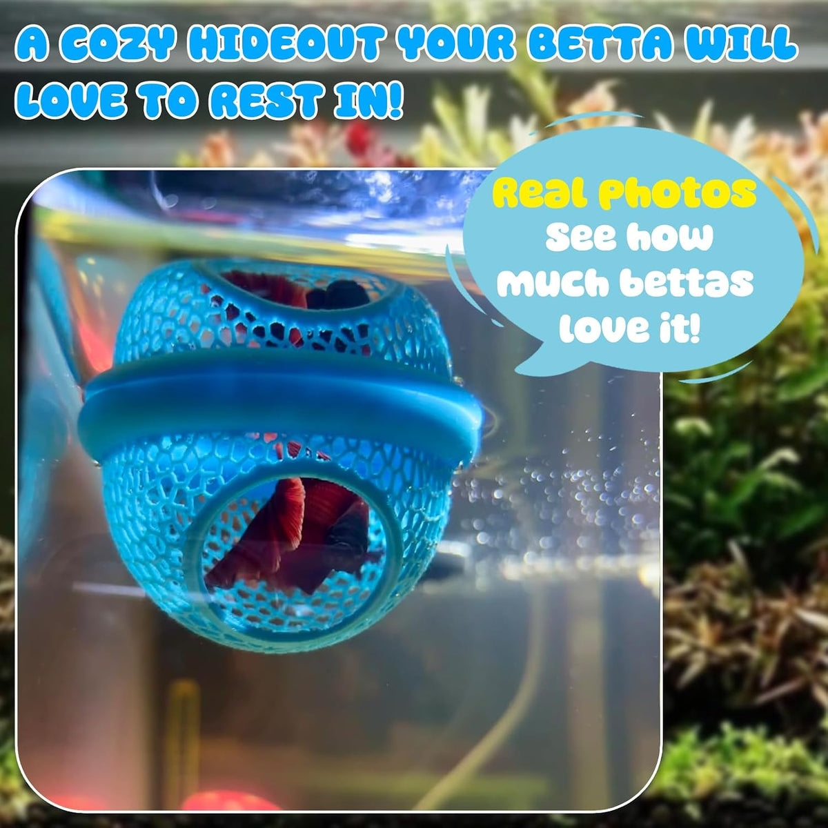 Floating Betta Hide & Shrimp Cave, 3D Printed Aquarium Decor - Blue - image 4