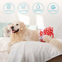 Avont 3 Pack Reusable Dog Diapers Female-Strawberry/Orange/Cherry – Essentials for Dogs - Dot Pattern - Black/Red/Green / S - image 3