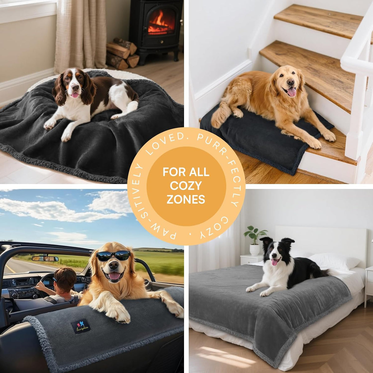 Luciphia Waterproof Pet Blanket - L (65" x57") / Light Grey - image 4