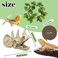 kathson Reptile Resin Dinosaur Skull Decoration Bearded Dragon Tank - Type：Dinosaur - image 4