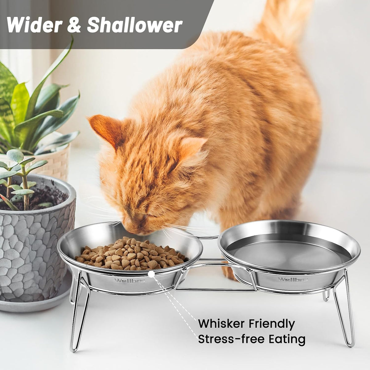 Elevated Cat Bowls, Wide Stainless Steel Cat Food Bowls with Metal Stand Whisker Stress-Free - Integrated Bowls - image 4