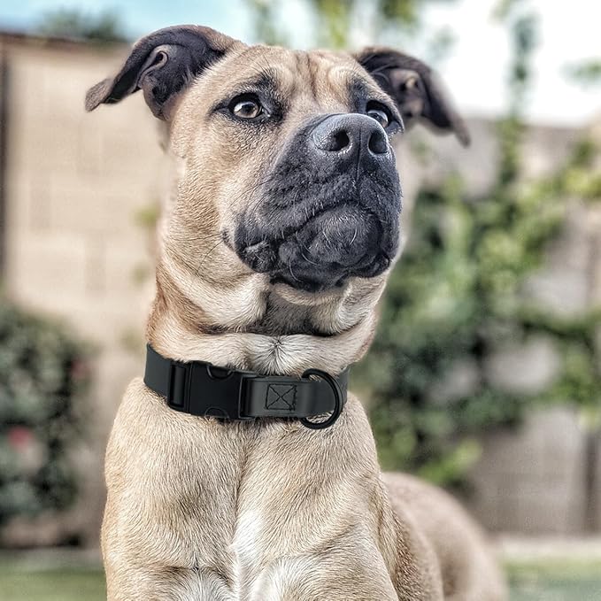 Dogline Biothane Waterproof Dog Collar with Quick Release Buckle Strong Coated Nylon Webbing with Odor- Proof for Easy Care Easy to Clean Fits Small Medium or Large Dogs, Black 1" W 15-23" L