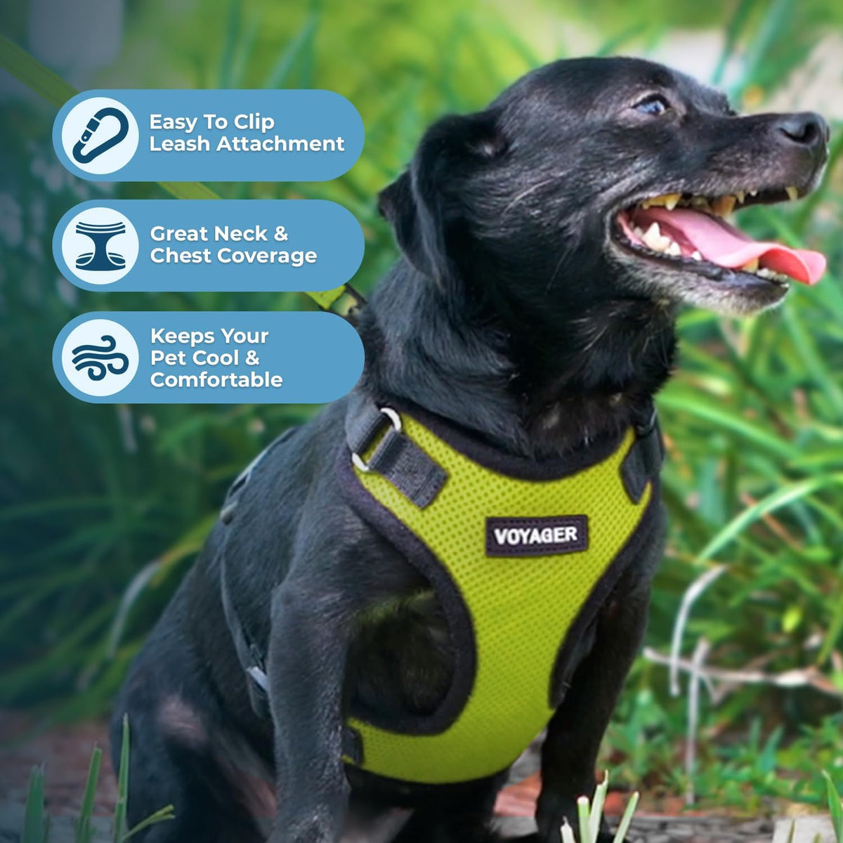 Voyager Step-in Lock Dog Harness, Pink - Harness (Lime Green/Black Trim) / L (Chest: 20 - 25") - image 3