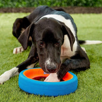Chuckit! Fetch Wheel Outdoor Dog Toy, For Large Breeds - Fetch Wheel / Small / Multi - image 4