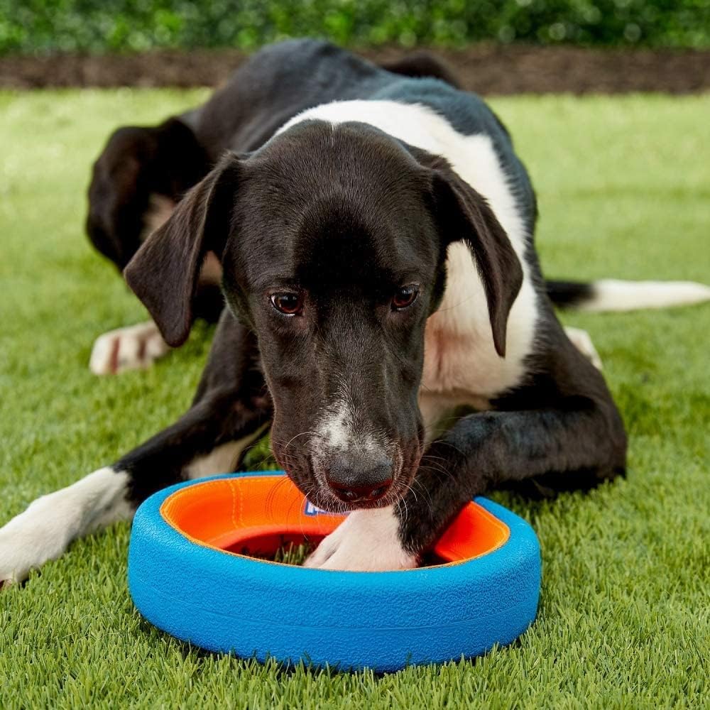 Chuckit! Fetch Wheel Outdoor Dog Toy, For Large Breeds - Fetch Wheel / Small / Multi - image 4