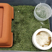 2pcs Reptile Carpet Terrarium Liner Tortoise Bedding Reptile - 2PCS（M）：11.81 X 7.87 in - image 4