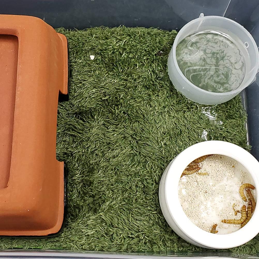 2pcs Reptile Carpet Terrarium Liner Tortoise Bedding Reptile - 2PCS（M）：11.81 X 7.87 in - image 4